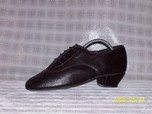 Modell 0154